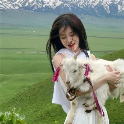 阿姆齐亚·金的竞争对手